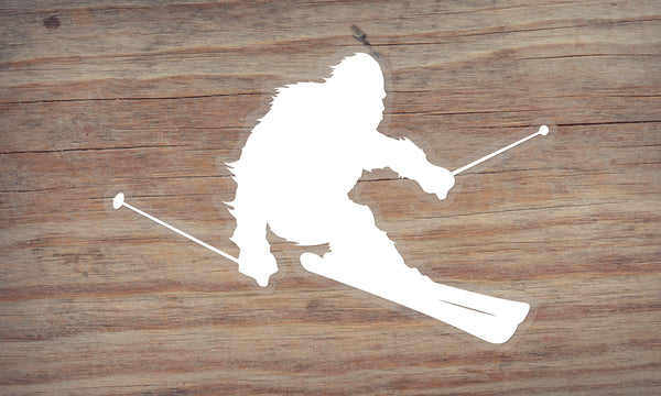 Ski Goggle Landscape Die Cut Sticker